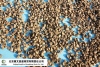 专业生产 果壳滤料 北京直销 成本低效果好 使用广泛