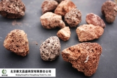 北京 火山岩生物滤料 成本低 性能好 大批供货