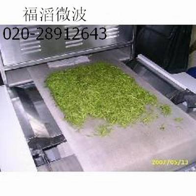 微波金银花干燥设备