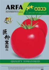 蔬菜种子 优质蔬菜种子 西红柿种子巨粉宝石