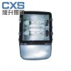 供应节能灯厂家 CNFC9131节能型热启动泛光灯 泛光灯价格