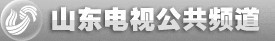 山东电视台公共频道 盛华广告