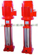 XBD-L I 型立式多级消防泵