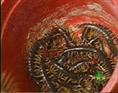 供应上海蜈蚣 签订合同确保回收