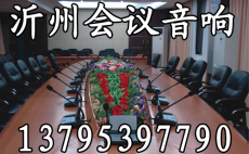 上海会议音响器材供应 多功能厅音响设备价格咨询