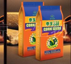 东北高产玉米 轴特细 深马齿 品牌种子企业
